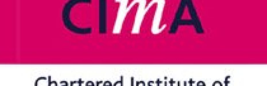 Professional services market research success story | CIMA advertising