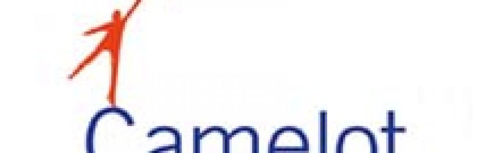 Gaming market research for Camelot