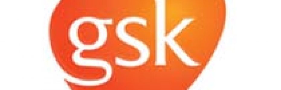 Health-care market research success story | GSK