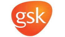 Health-care market research success story | GSK